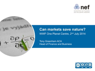 Can markets save nature?
WWF One Planet Centre, 2nd July 2014
Tony Greenham ACA
Head of Finance and Business
 