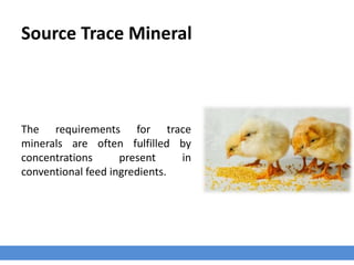 Source Trace Mineral
The requirements for trace
minerals are often fulfilled by
concentrations present in
conventional feed ingredients.
 