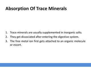 Absorption Of Trace Minerals
1. Trace minerals are usually supplemented in inorganic salts.
2. They get dissociated after entering the digestive system.
3. The free metal ion first gets attached to an organic molecule
or escort.
 