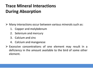 Trace Mineral Interactions
During Absorption
 Many interactions occur between various minerals such as:
1. Copper and molybdenum
2. Selenium and mercury
3. Calcium and zinc
4. Calcium and manganese
 Excessive concentrations of one element may result in a
deficiency in the amount available to the bird of some other
element.
 