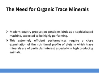 The Need for Organic Trace Minerals
 Modern poultry production considers birds as a sophisticated
machine, expected to be highly performing.
 This extremely efficient performances require a close
examination of the nutritional profile of diets in which trace
minerals are of particular interest especially in high producing
animals.
 