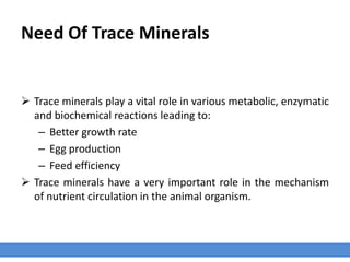 Need Of Trace Minerals
 Trace minerals play a vital role in various metabolic, enzymatic
and biochemical reactions leading to:
– Better growth rate
– Egg production
– Feed efficiency
 Trace minerals have a very important role in the mechanism
of nutrient circulation in the animal organism.
 
