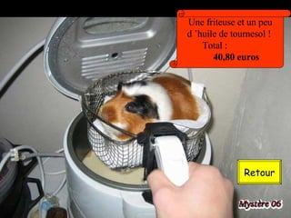 Retour Une friteuse et un peu d ’huile de tournesol !  Total :  40,80 euros 