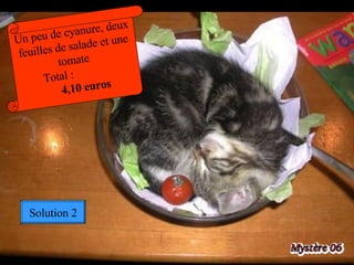 Un peu de cyanure, deux feuilles de salade et une tomate  Total :  4,10 euros Solution 2 