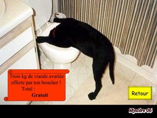 Retour Trois kg de viande avariée offerte par ton boucher !  Total :  Gratuit 