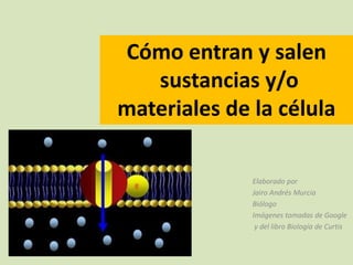 Cómo entran y salen
   sustancias y/o
materiales de la célula

              Elaborado por
              Jairo Andrés Murcia
              Biólogo
              Imágenes tomadas de Google
               y del libro Biología de Curtis
 