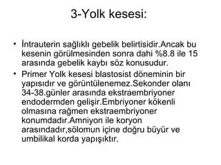 3-Yolk kesesi:  İntrauterin sağlıklı gebelik belirtisidir.Ancak bu kesenin görülmesinden sonra dahi %8.8 ile 15 arasında gebelik kaybı söz konusudur.  Primer Yolk kesesi blastosist döneminin bir yapısıdır ve görüntülenemez.Sekonder olanı 34-38.günler arasında ekstraembriyoner endodermden gelişir.Embriyoner kökenli olmasına rağmen ekstraembriyoner konumdadır.Amniyon ile koryon arasındadır,sölomun içine doğru büyür ve umbilikal korda yapışıktır.  