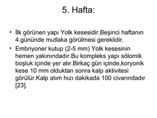 5. Hafta: İlk görünen yapı Yolk kesesidir.Beşinci haftanın 4.gününde mutlaka görülmesi gereklidir.  Embriyoner kutup (2-5 mm) Yolk kesesinin hemen yakınındadır.Bu kompleks yapı sölomik boşluk içinde yer alır.Birkaç gün içinde,koryonik kese 10 mm olduktan sonra kalp aktivitesi görülür.Kalp atım hızı dakikada 100 civarındadır [23]. 