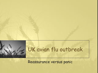 UK avian flu outbreak Reassurance versus panic 