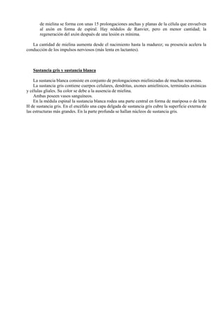 de mielina se forma con unas 15 prolongaciones anchas y planas de la célula que envuelven
al axón en forma de espiral. Hay nódulos de Ranvier, pero en menor cantidad; la
regeneración del axón después de una lesión es mínima.
La cantidad de mielina aumenta desde el nacimiento hasta la madurez; su presencia acelera la
conducción de los impulsos nerviosos (más lenta en lactantes).
Sustancia gris y sustancia blanca
La sustancia blanca consiste en conjunto de prolongaciones mielinizadas de muchas neuronas.
La sustancia gris contiene cuerpos celulares, dendritas, axones amielínicos, terminales axónicas
y células gliales. Su color se debe a la ausencia de mielina.
Ambas poseen vasos sanguíneos.
En la médula espinal la sustancia blanca rodea una parte central en forma de mariposa o de letra
H de sustancia gris. En el encéfalo una capa delgada de sustancia gris cubre la superficie externa de
las estructuras más grandes. En la parte profunda se hallan núcleos de sustancia gris.
 