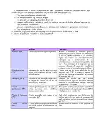 Comprenden casi la mitad del volumen del SNC. Su nombre deriva del griego bizantino: liga,
unión o mezcla. Sin embargo tienen una función activa en el tejido nervioso.
• Son más pequeñas que las neuronas;
• su número es entre 5 y 50 veces mayor;
• no generan ni propagan potenciales de acción
• pueden multiplicarse y dividirse en el SN maduro: en caso de lesión rellenan los espacios
que ocupaban las neuronas
• pueden originar tumores cerebrales, los gliomas, muy malignos ya que crecen con rapidez
• hay seis tipos de células gliales:
a- astrocitos, oligodendrocitos, microglia y células ependimarias: se hallan en el SNC
b- células de Schwann y satélite: se hallan en el SNP
Tipo Aspecto Funciones
Astrocito (SNC) Estrellada con muchas prolongaciones Ayudan a mantener el ambiente químico
apropiado para que se generen los potenciales
de acción; aportan nutrientes a las neuronas;
captan el exceso de neurotransmisores;
participan en el metabolismo de los
neurotransmisores; mantienen el equilibrio de
Ca2+
y K+
; participan en la migración de las
neuronas durante el desarrollo encefálico;
ayudan a formar la barrera hematoencefálica.
Oligodendrocitos
(SNC)
Más pequeños que los anteriores, con
menos prolongaciones, cuerpo celular
redondo u oval.
Forman una red de sostén alrededor de las
neuronas del SNC y producen vainas de
mielina que rodean a varios axones adyacentes
de neuronas del SNC.
Microglia (SNC) Pequeñas y con pocas prolongaciones;
su origen es común con el de los
macrófagos y monocitos.
Protegen las células del SNC contra
enfermedades al fagocitar microbios; elimina
desechos de células muertas, emigra a áreas de
tejido nervioso lesionado.
Células
ependimarias (SNC)
Células epiteliales en una sola capa, de
forma cuboidea hasta cilíndrica;
muchas poseen cilios
Revisten los ventrículos del cerebro y conducto
central de la médula espinal, producen el LCR
y participan en su circulación.
Células de Schwann
(SNP)
Células aplanadas que rodean a los
axones del SNP
Cada célula produce una parte de la vaina de
mielina que rodea un axón de neuronas del
SNP; participan en la regeneración de axones
del SNP.
Células satélite
(SNP)
Células aplanadas dispuestas alrededor
del cuerpo celular de neuronas en los
ganglios.
Brindan sostén a neuronas en los ganglios del
SNP
 