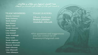 Upper limb and their bones with their special features