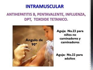 ANTIHEPATITIS B, PENTAVALENTE, INFLUENZA,
DPT, TOXOIDE TETANICO.
Angulo de
90º
INTRAMUSCULAR
Aguja: No.23 para
niños no
caminadores y
caminadores
Aguja: No.22 para
adultos
 