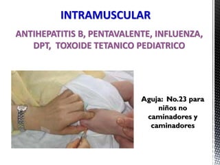 Aguja: No.23 para
niños no
caminadores y
caminadores
ANTIHEPATITIS B, PENTAVALENTE, INFLUENZA,
DPT, TOXOIDE TETANICO PEDIATRICO
INTRAMUSCULAR
 