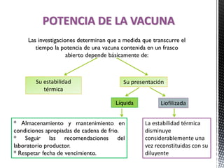 POTENCIA DE LA VACUNA
Las investigaciones determinan que a medida que transcurre el
tiempo la potencia de una vacuna contenida en un frasco
abierto depende básicamente de:
Su estabilidad
térmica
Su presentación
* Almacenamiento y mantenimiento en
condiciones apropiadas de cadena de frio.
* Seguir las recomendaciones del
laboratorio productor.
* Respetar fecha de vencimiento.
Líquida Liofilizada
La estabilidad térmica
disminuye
considerablemente una
vez reconstituidas con su
diluyente
 