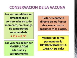 CONSERVACION DE LA VACUNA
Las vacunas deben ser
almacenadas y
conservadas en todo
momento, en el rango
de temperatura
recomendada
+ 2 a + 8 oC.
Las vacunas deben ser
MANIPULADAS
adecuada y
correctamente.
Evitar el contacto
directo de los frascos
de vacuna con los
paquetes fríos o agua.
Verificar de forma
permanente la
OPERATIVIDAD DE LA
CADENA DE FRÍO
 