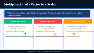 Comprehensive Guide to Scalars and Vectors in 2D Physics Motion | PPTX