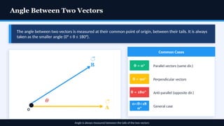 Comprehensive Guide to Scalars and Vectors in 2D Physics Motion | PPTX