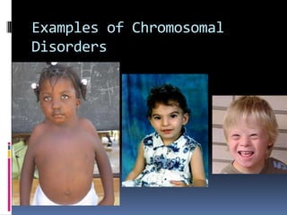 Examples of Chromosomal
Disorders
 