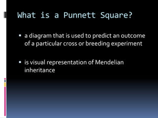 What is a Punnett Square?

 a diagram that is used to predict an outcome
  of a particular cross or breeding experiment

 is visual representation of Mendelian
  inheritance
 