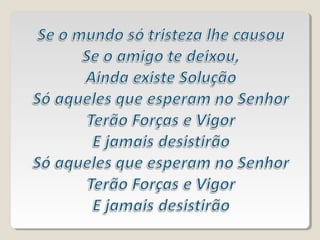 Vem renovar - Vanilda Bordieri