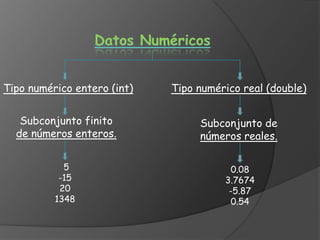 Tipo numérico entero (int)   Tipo numérico real (double)


   Subconjunto finito             Subconjunto de
  de números enteros.             números reales.

            5                            0.08
           -15                         3.7674
           20                           -5.87
          1348                           0.54
 