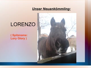 PIRI Leider nicht mehr am Stall 