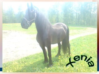 Unser Neuankömmling: LORENZO ( Spitzname:  Lory Glory ) 