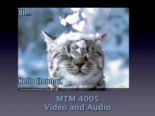 MTM 4005
Video and Audio
 
