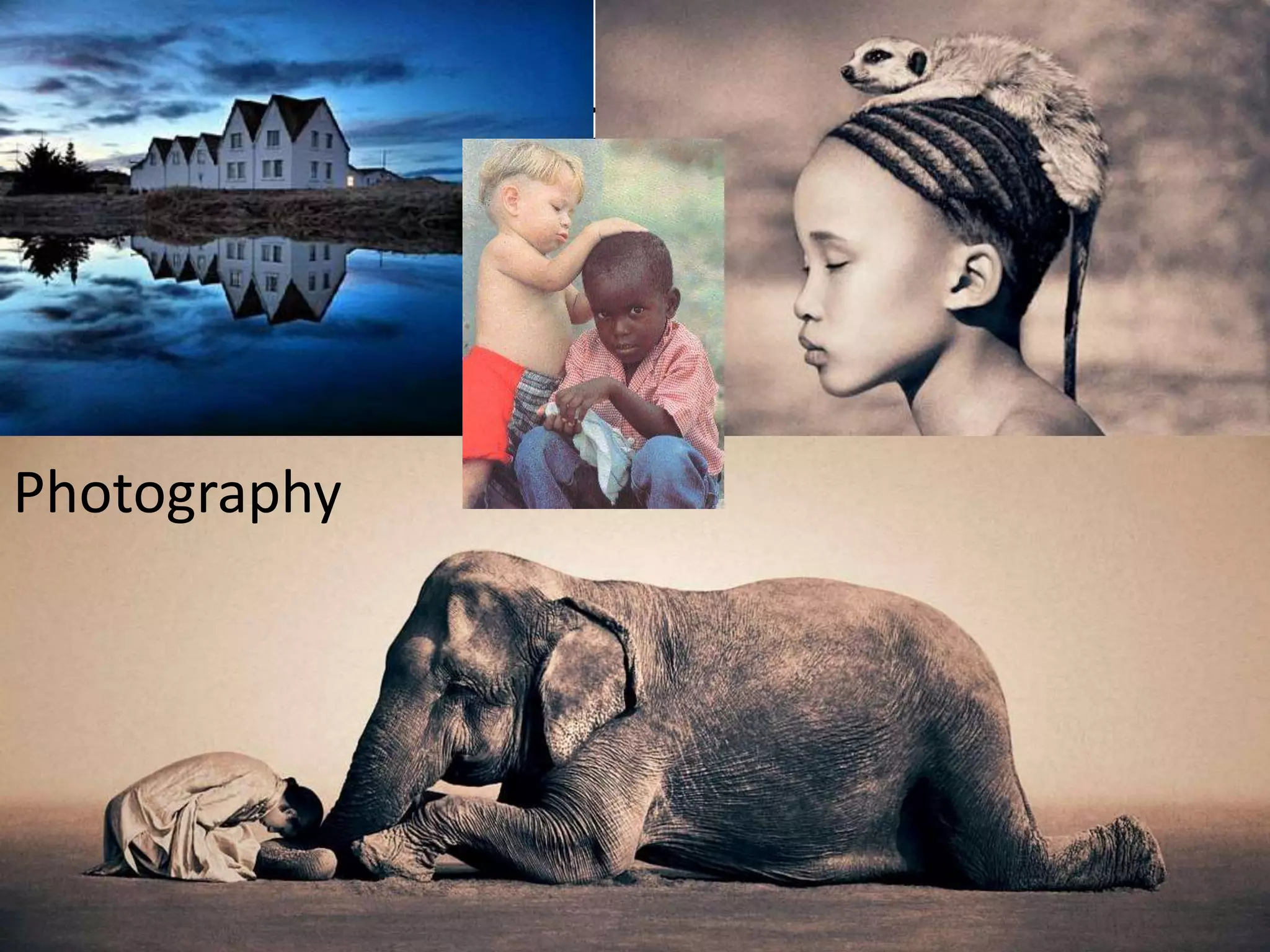 Photograph
Photography
 