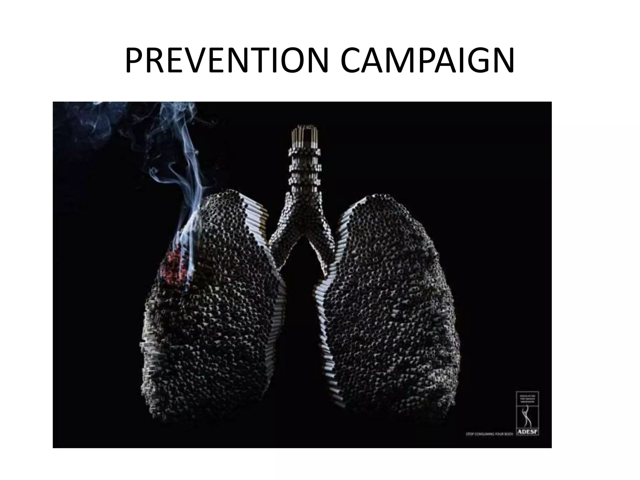 PREVENTION CAMPAIGN
 