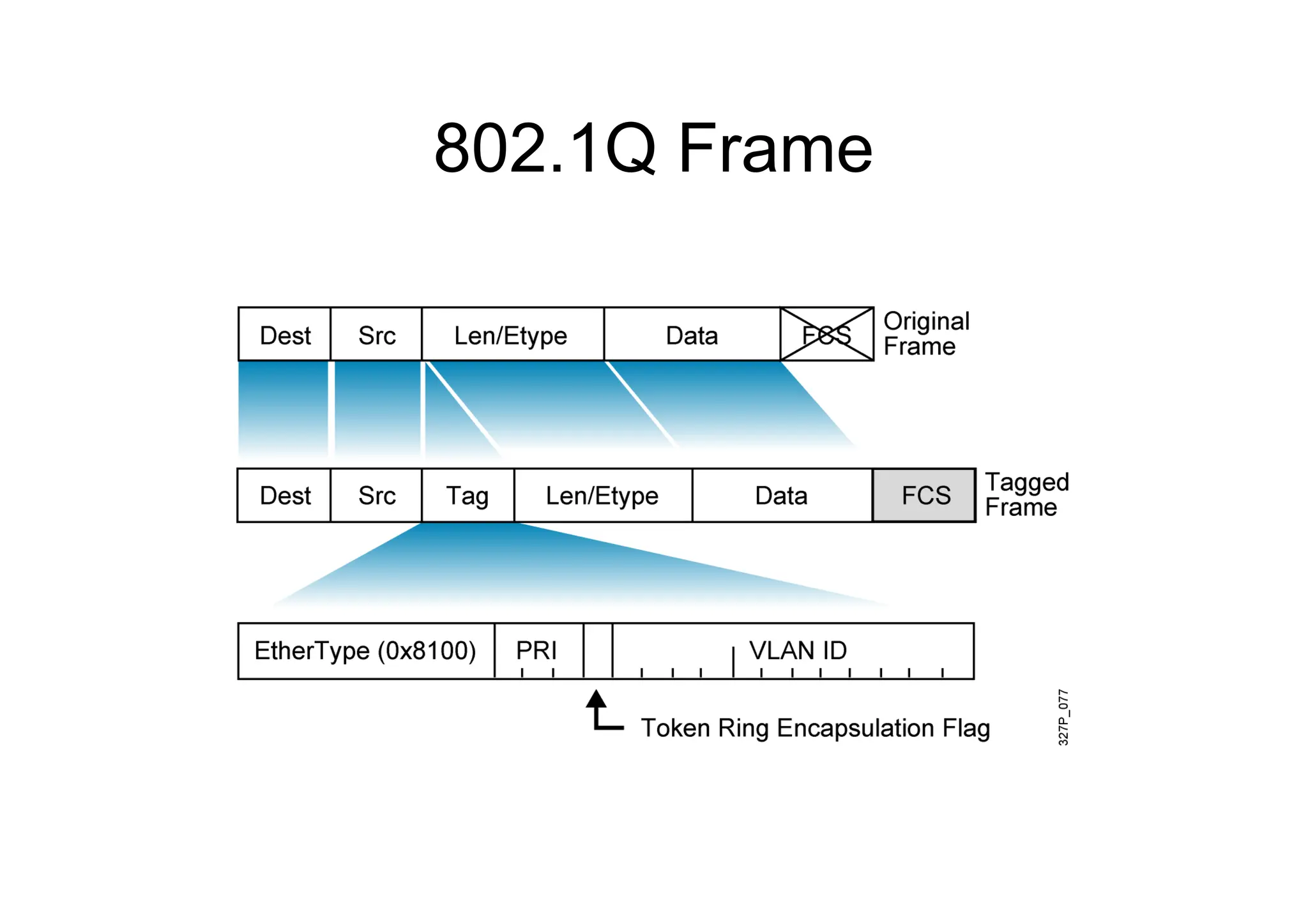 802.1Q Frame
 
