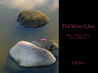 Pink Water Lilies
Music – Secrets – Piano
Giovanni Marradi
Hy-Van
 