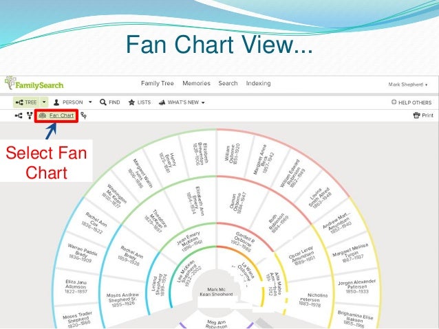1 What is Family Search