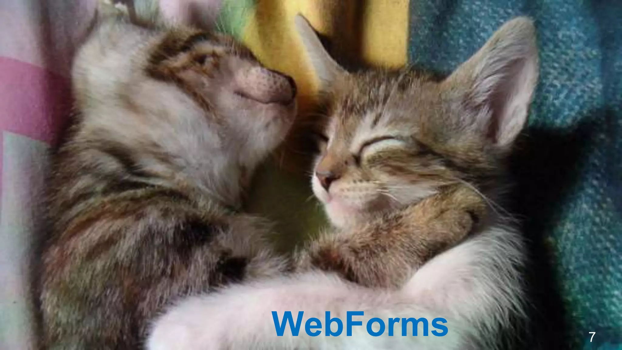 WebForms 7