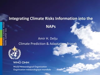 Integrating Climate Risks Information into the
NAPs
Amir H. Delju
Climate Prediction & Adaptation Branch
 