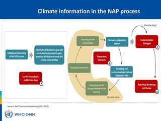 Source: NAP Technical Guidelines (LEG, 2012)
Climate information in the NAP process
 