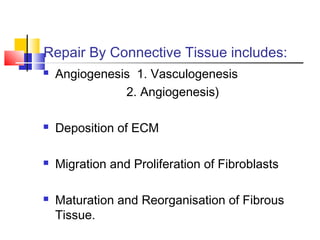 Repair By Connective Tissue includes:
 Angiogenesis 1. Vasculogenesis
2. Angiogenesis)
 Deposition of ECM
 Migration and Proliferation of Fibroblasts
 Maturation and Reorganisation of Fibrous
Tissue.
 