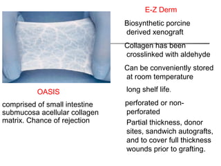E-Z Derm
Biosynthetic porcine
derived xenograft
Collagen has been
crosslinked with aldehyde
Can be conveniently stored
at room temperature
long shelf life. 
perforated or non-
perforated
Partial thickness, donor
sites, sandwich autografts,
and to cover full thickness
wounds prior to grafting.
OASIS
comprised of small intestine
submucosa acellular collagen
matrix. Chance of rejection
 