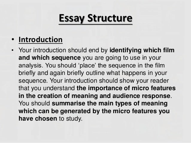 Film studies micro analysis essay