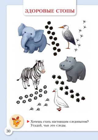 ЗДОРОВЫЕ СТОПЫ
©!Г о
о о
►Хочешь стать настоящим следопытом?
Угадай, чьи это следы.
30
"Г
 