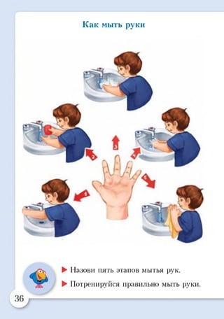 Как мыть руки
►Назови пять этапов мытья рук.
►Потренируйся правильно мыть руки.
 