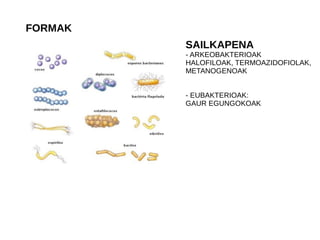 FORMAK
SAILKAPENA
- ARKEOBAKTERIOAK
HALOFILOAK, TERMOAZIDOFIOLAK,
METANOGENOAK
- EUBAKTERIOAK:
GAUR EGUNGOKOAK
 
