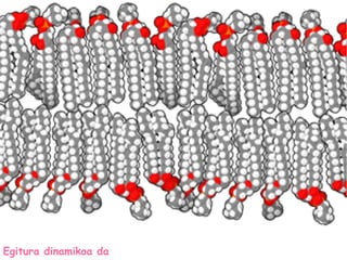 Egitura dinamikoa da
 