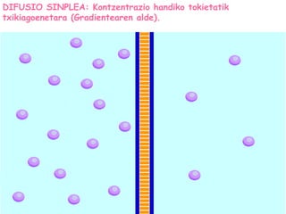 DIFUSIO SINPLEA: Kontzentrazio handiko tokietatik
txikiagoenetara (Gradientearen alde).
 