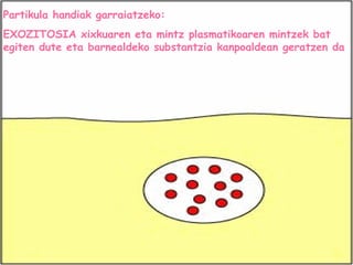 Partikula handiak garraiatzeko:
EXOZITOSIA xixkuaren eta mintz plasmatikoaren mintzek bat
egiten dute eta barnealdeko substantzia kanpoaldean geratzen da
 