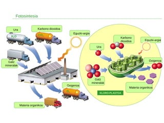 Materia organikoa
Oxigenoa
Gatz
mineralak
Ura
Eguzki-argia
Eguzki-argia
Karbono dioxidoa
Fotosintesia
CO2H2O
O2
Karbono
dioxidoa
Ura
Gatz
mineralak
Materia organikoa
Oxigenoa
KLORO-PLASTOA
 