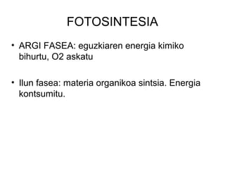 FOTOSINTESIA
• ARGI FASEA: eguzkiaren energia kimiko
bihurtu, O2 askatu
• Ilun fasea: materia organikoa sintsia. Energia
kontsumitu.
 