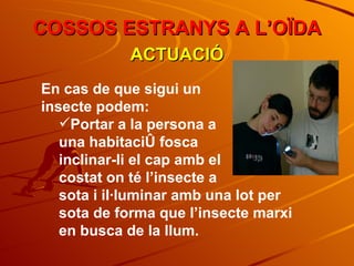COSSOS ESTRANYS A L’OÏDA ACTUACIÓ En cas de que sigui un  insecte podem: Portar a la persona a  una habitació fosca  inclinar-li el cap amb el  costat on té l’insecte a  sota i il·luminar amb una lot per sota de forma que l’insecte marxi en busca de la llum. 