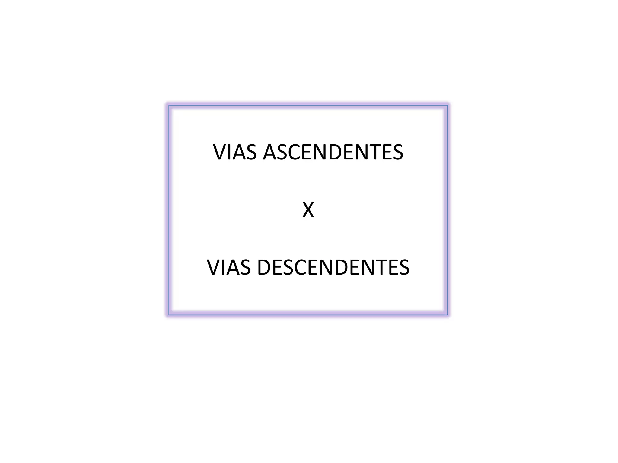 VIAS ASCENDENTES
X
VIAS DESCENDENTES
 